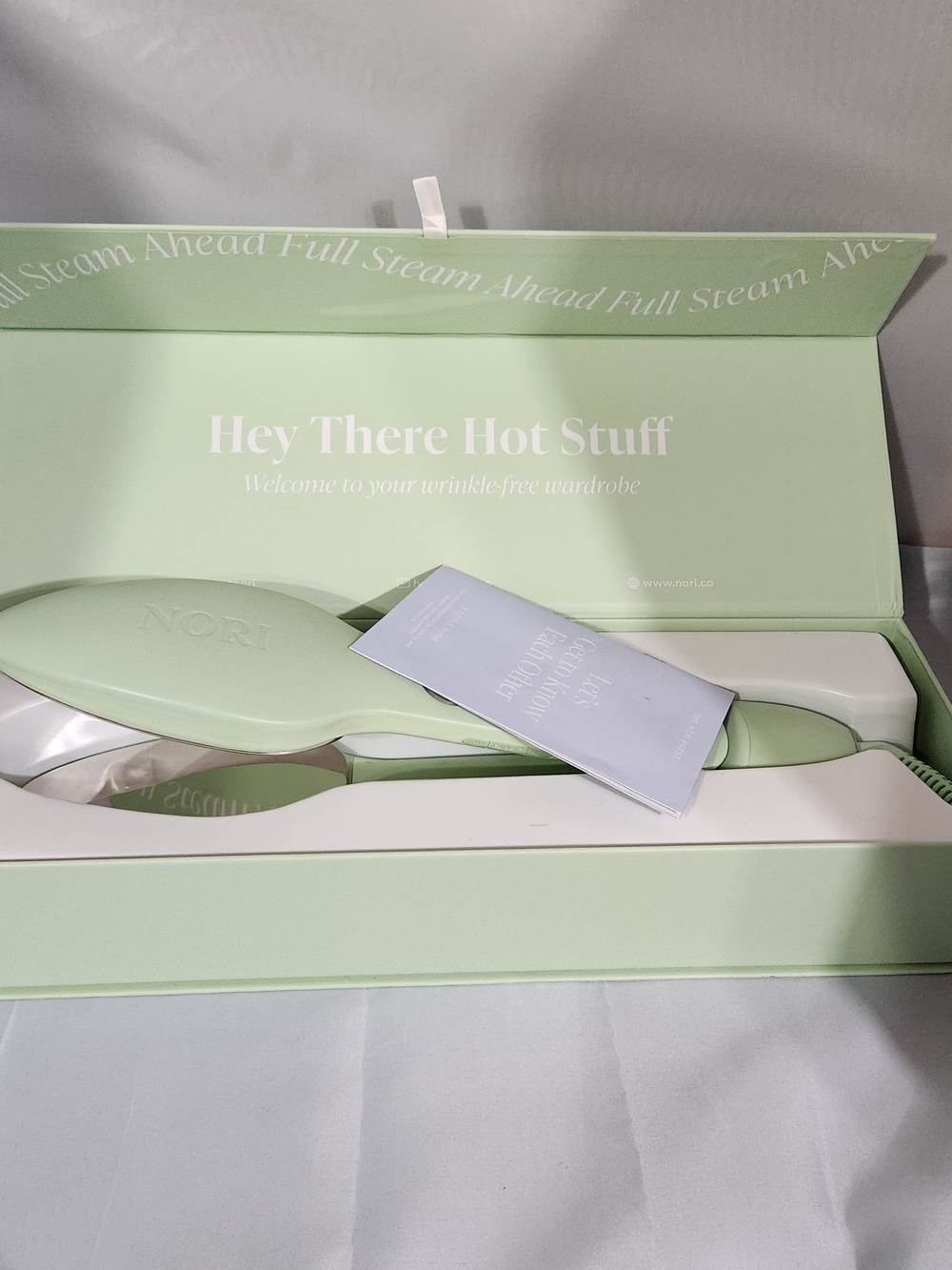 NORI Mint Green Steam Iron